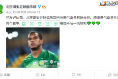 北京国安足球俱乐部宣布与费尔南多解约